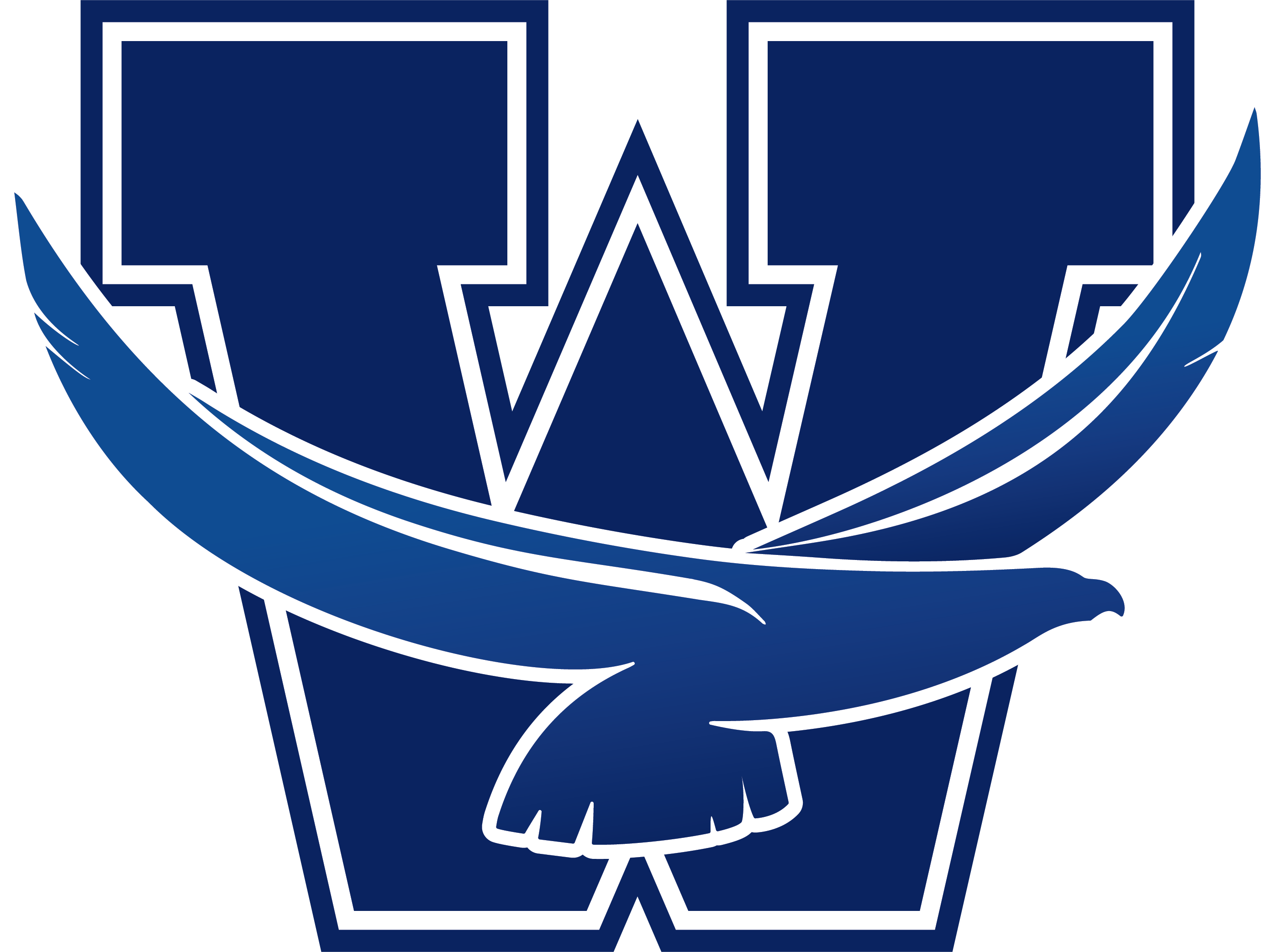 Washington logo